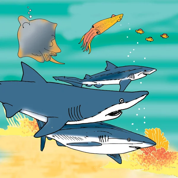 Ilustración Del Tiburón —  Fotos de Stock