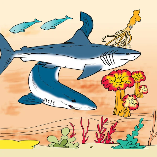 Ilustrace Shark — Stock fotografie