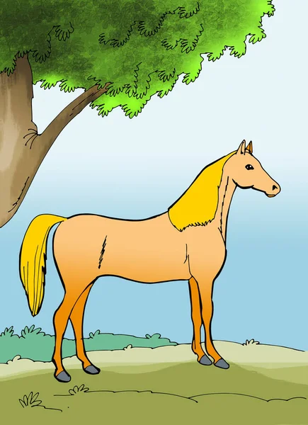 Illustrazione Del Cavallo — Foto Stock