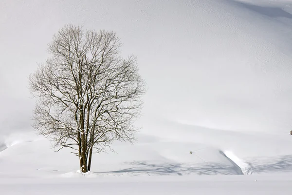 Vintern ensamhet — Stockfoto