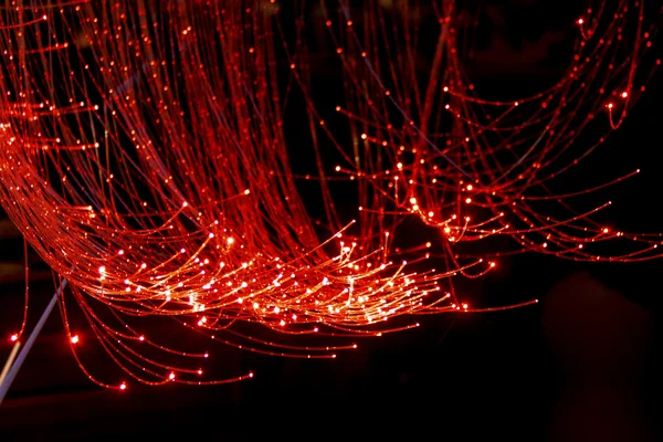 Röd fiberoptisk kabel Stockbild