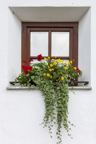 Colorful Flowers Decorate Window Mountain House — Stock Photo, Image