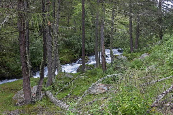 Natuurlandschap Met Beekje Riva Tures Zuid Tirol — Stockfoto