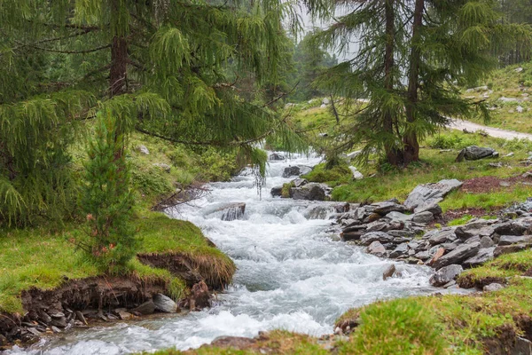 Güney Tyrol 'da Riva di Tures' te bir deresi olan doğal manzara. 