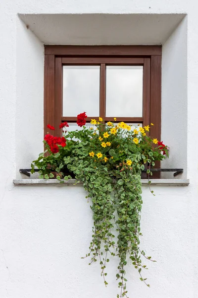 Fiori Colorati Decorano Una Finestra Una Casa Montagna Foto Stock Royalty Free