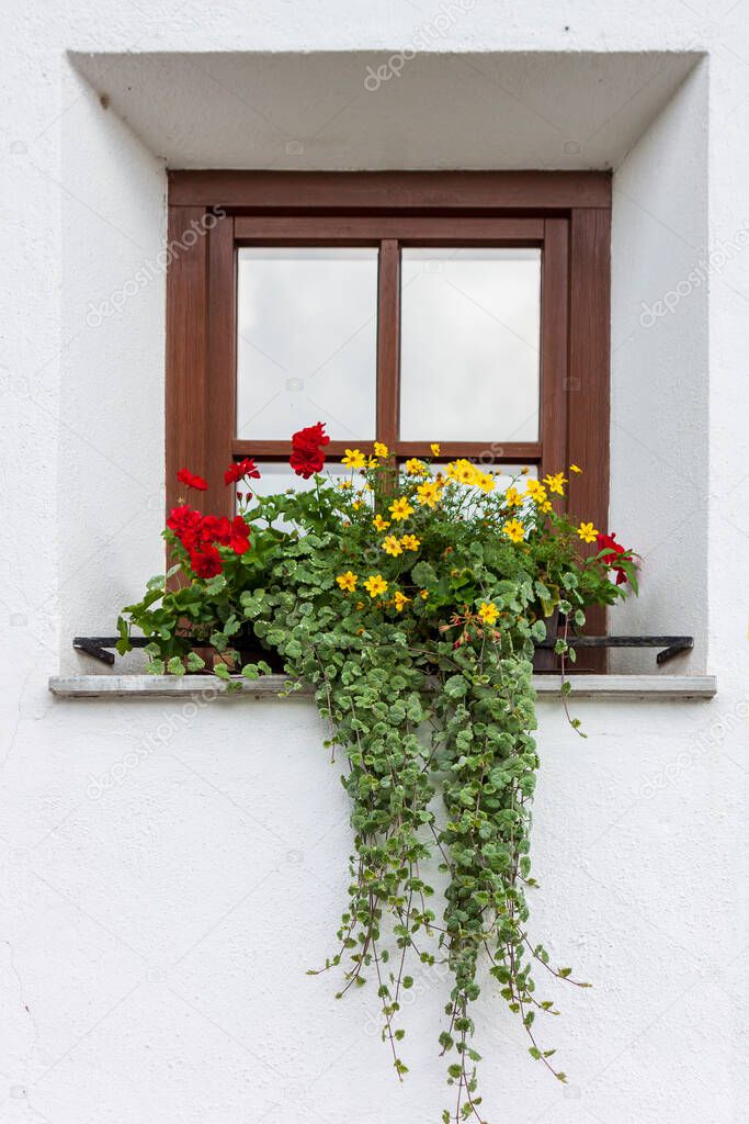 Colorful flowers decorate a window in a mountain house 