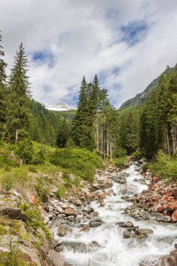 Güney Tyrol 'da Riva di Tures' te bir deresi olan doğal manzara. 