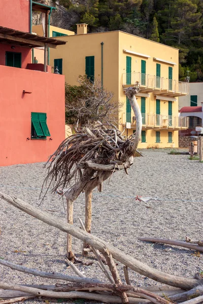 Varigottizoo Zoológico Animais Madeira Nascido Madeira Encalhada Tempestade — Fotografia de Stock