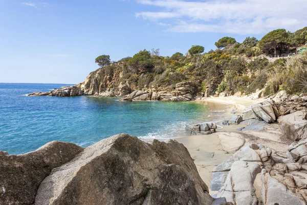 İtalya 'nın Elba Adası' ndaki Cavoli Plajı 'nda insanlar yok. Toskana Takımadaları Ulusal Parkı. Akdeniz kıyısı. Tatil ve turizm konsepti.