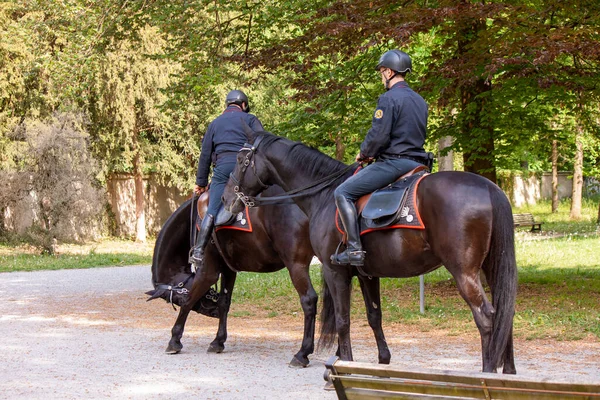 Monza Province Monza Brianza Italy May 2022 Carabinieri Horseback Check —  Fotos de Stock