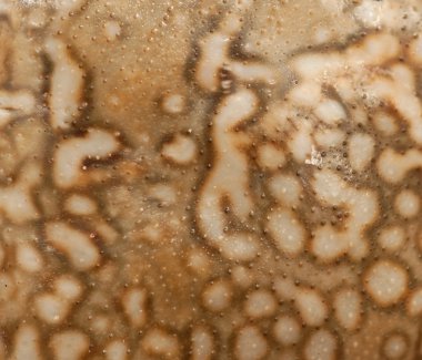 Yengeç kabuk dokusu