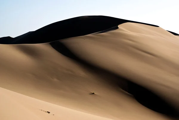 Sand dune in the Gobi desert — Stock Photo, Image