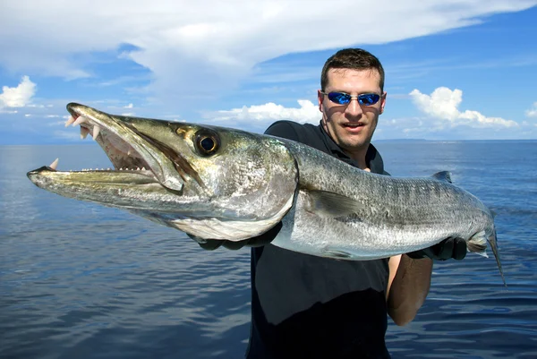 La barracuda gigante Fotos de stock libres de derechos