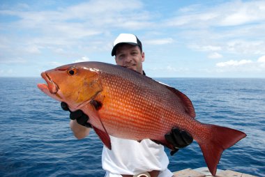 Red snapper