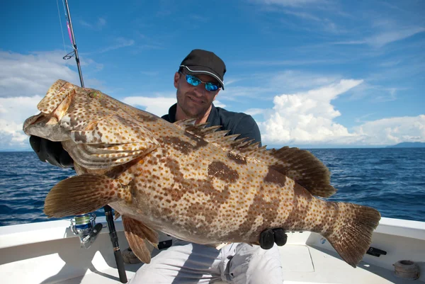 Pesce cernia — Foto Stock