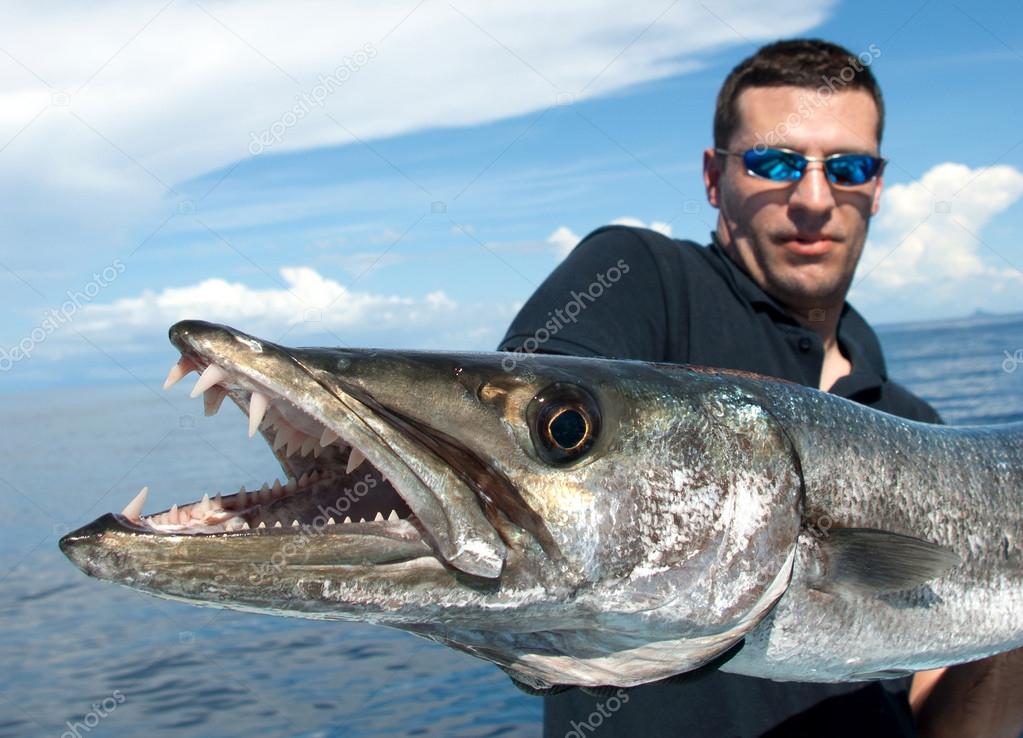 The giant barracuda