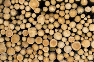 Woodpile