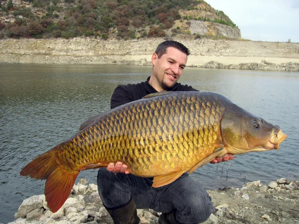 Escena de pesca. carpa común — Foto de Stock