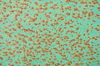 paslı arka planı yeşil