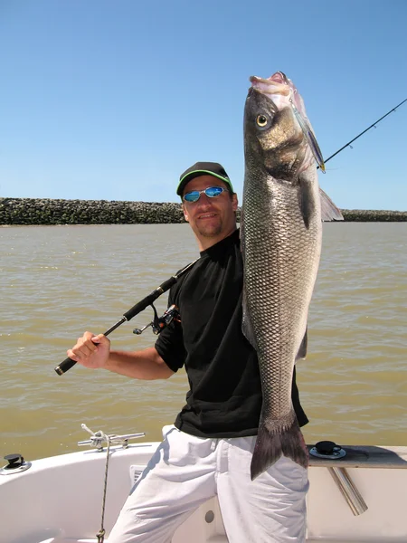 Robalo. Captura de peixes — Fotografia de Stock