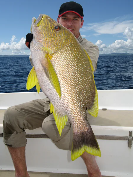 Сцена рыбалки. Blubberlip snapper — стоковое фото