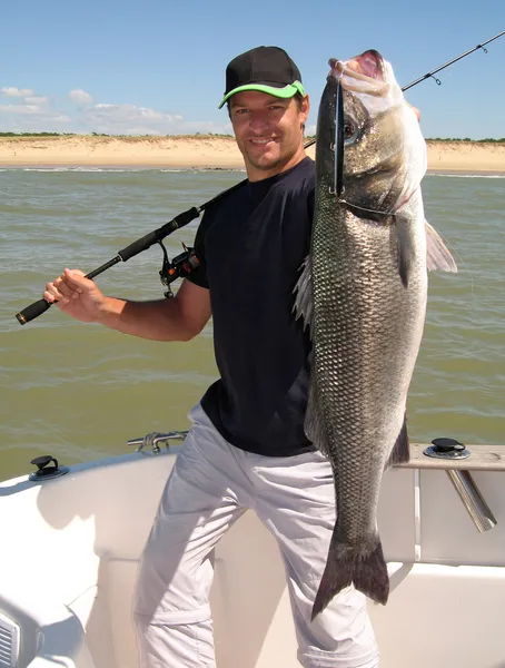 Escena de pesca. Lubina —  Fotos de Stock