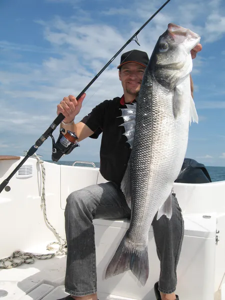 Escena de pesca. Lubina —  Fotos de Stock