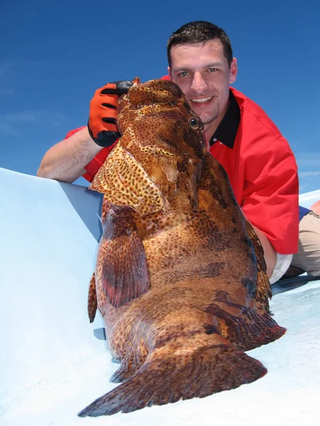 Połowów scena - grouper ryb — Zdjęcie stockowe