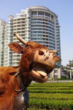 Komik inek mi? kentsel sahne