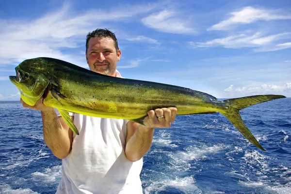 Peixe-golfinho (mahi-mahi ) — Fotografia de Stock