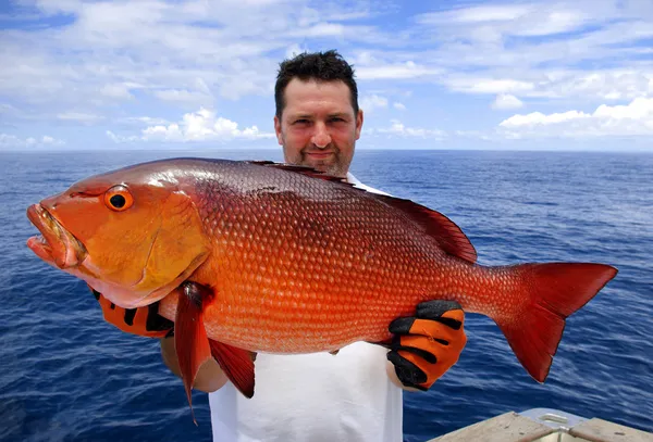 Röd snapper — Stockfoto