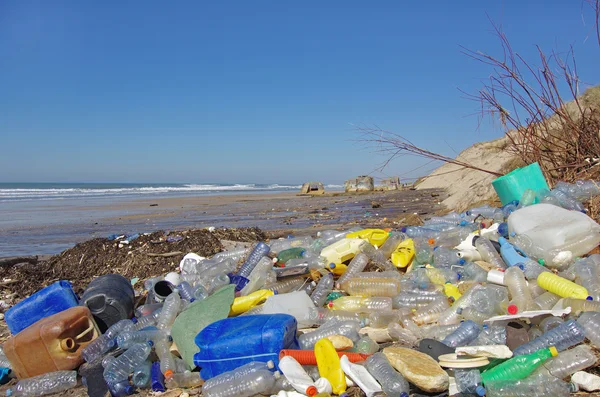 Plaża zanieczyszczenia Zdjęcia Stockowe bez tantiem