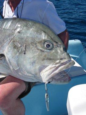 Dev trevally balık