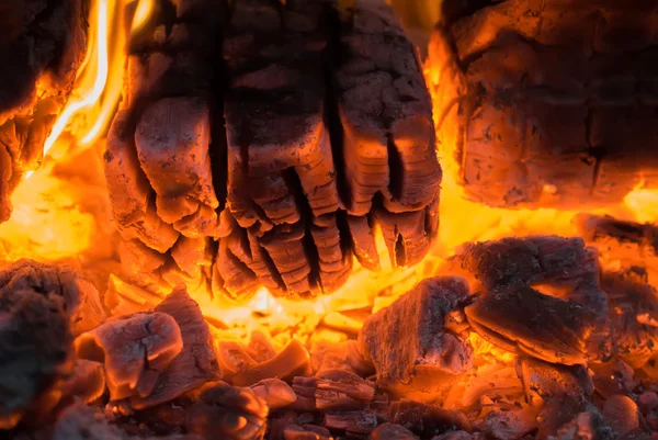 Burning firewood in flame of bonfire — Stock Photo, Image