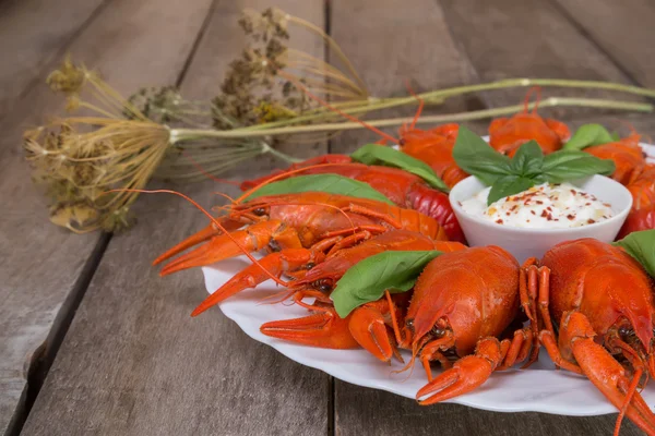 Crayfish fervido vermelho e ervas com molho branco — Fotografia de Stock