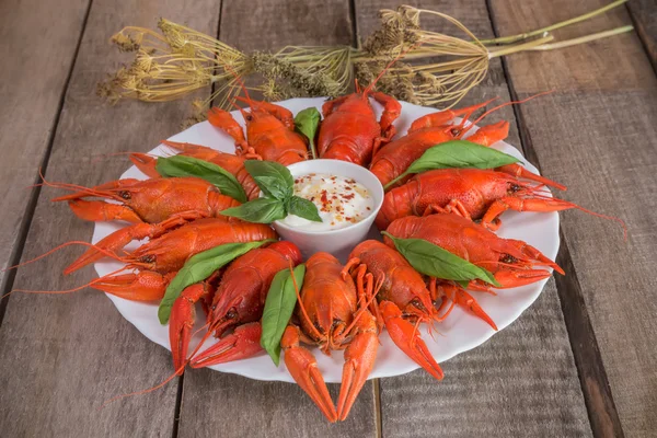 Rode gekookte rivierkreeft en kruiden met witte saus — Stockfoto