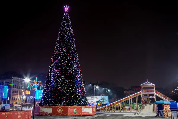 Tree Vladivostok — Stock Photo, Image