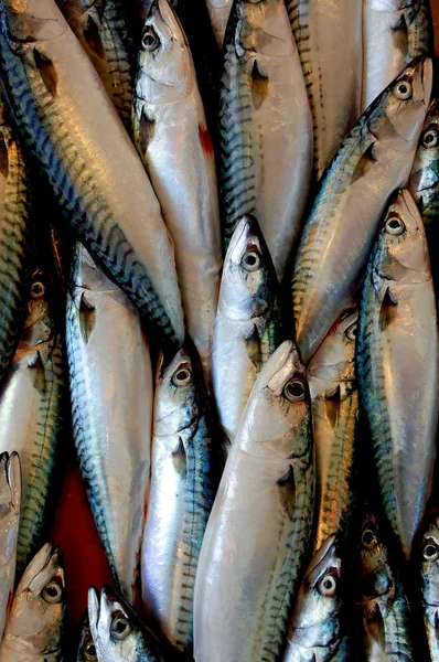 Свіжі риби на ринку Стокове Зображення