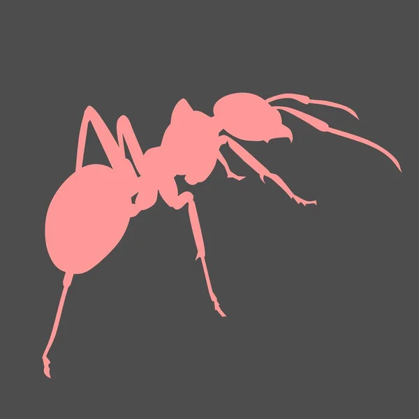 Ant Animal Silhouette Vector Ilustración — Vector de stock