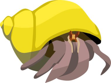 Münzevi Yengeç Kabuklu Hayvan Vektörü