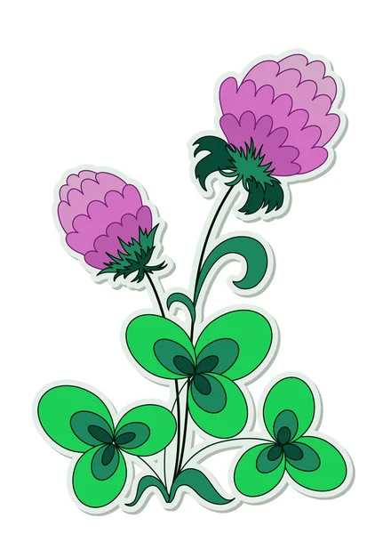 Clover flower — Stock Vector