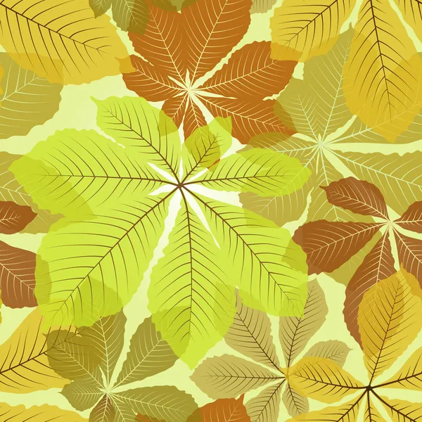 Modèles de feuilles — Image vectorielle