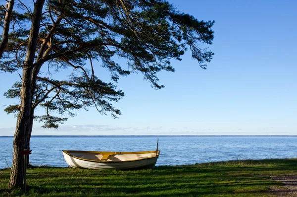 Rowing boat at coast — Stock Photo, Image