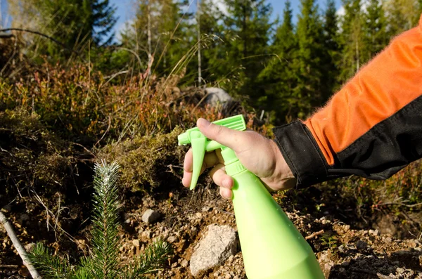 Protecting tree plant — Stock Photo, Image