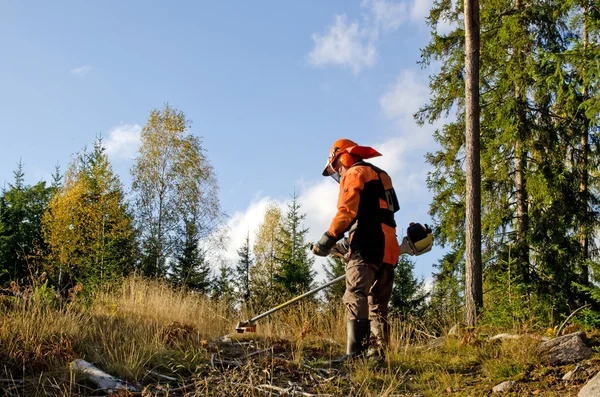 Worker uses a brush cutter — Stock Photo, Image