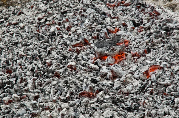 라이브 석탄 배경 — 스톡 사진