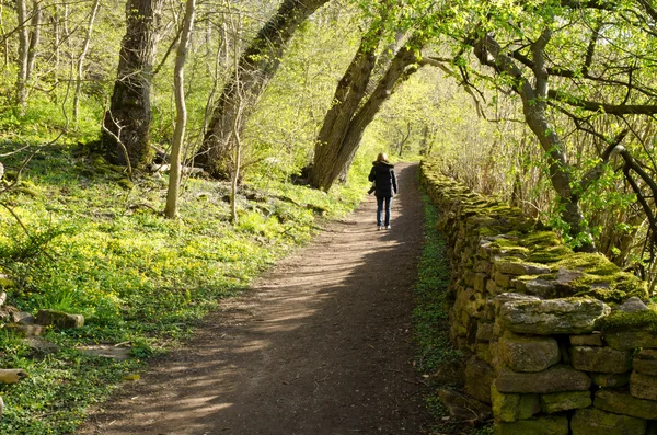 Passeio na primavera — Fotografia de Stock