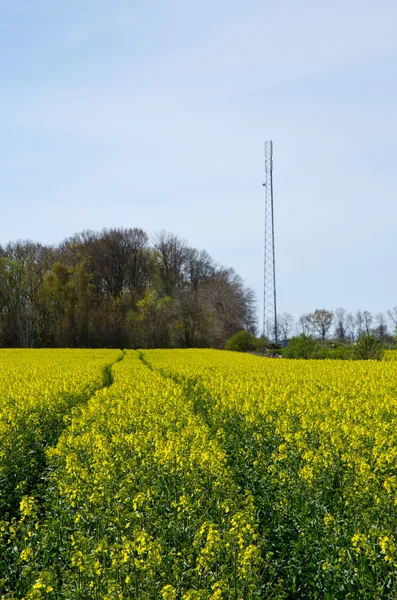 Communication mast — Stock Photo, Image