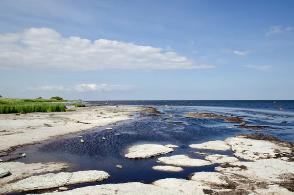 Costa de roca plana — Foto de Stock