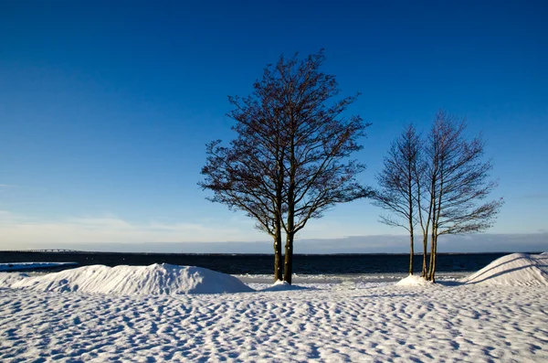 冬季视图 — 图库照片